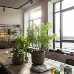 Hilversum City Apartments Lägenhet